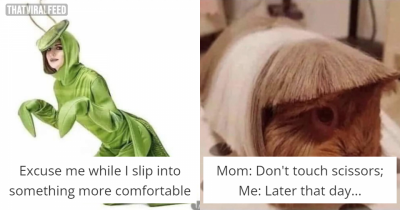 Collection Of Hilarious Memes That Will Make You LOL!