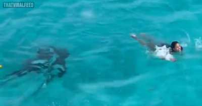 People Terrified As Woman Swimming In The Sea Seems Oblivious To Danger Beneath Her