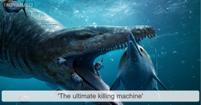 Colossal 'Sea Monster' Skull Unearthed In The UK