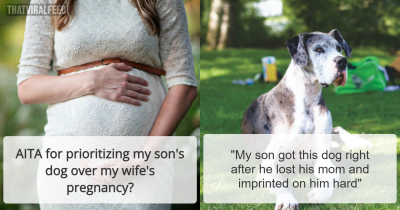 Wife Says Husband Is Prioritizing The Dog Over Her Pregnancy After He Refuses To Get Rid Of It And Break His Son&rsquo;s Heart