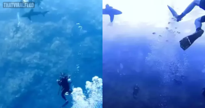 Man Who Filmed Vicious Shark Attack So Clear You Could Hear Scream Is Still Haunted By It