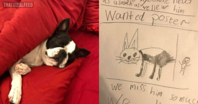 Heartbroken Seven-Year-Old Kid Draws &lsquo;Wanted&rsquo; Poster To Help Find His Stolen Dog