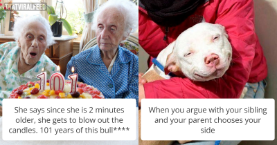 30 Of The Best Sibling Memes Ever