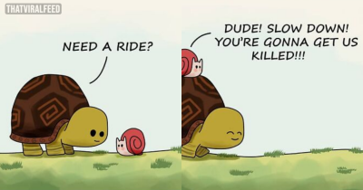 50 Adorable Animal Comics To Raise Your Spirits