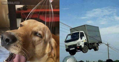 40 Cursed Pictures That Are Really Baffling