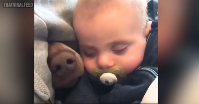 Dog Who Waited 9 Months For Baby Brother Can't Contain Emotions When He Finally Arrives