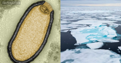 Scientists Warn Long-Frozen Arctic Zombie Virus In Siberia Poses Terrifying Public Health Threat Amid Thaw