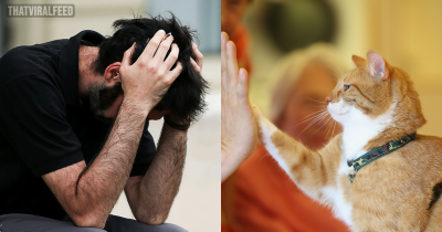 Elderly Woman Leaves Her Entire $2.8 Million Fortune To Pets Instead Of Her Children