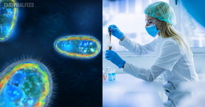 Scientists Discover New Virus-Like Lifeforms That Live Inside The Human Body In 'Colonies'
