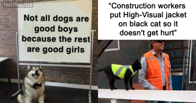 40 Wholesome Memes And Posts That Will Remind You That The World Isn't All Bad