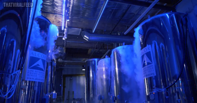 US Lab That Freezes Famous Dead People At -196c In Hopes They'll Wake Up In Future
