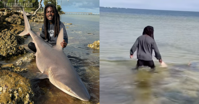 People In Disbelief As Man Casually Picks Up Live Shark With His Bare Hands