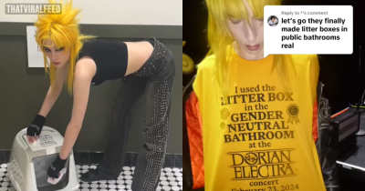 Singer Goes Viral After Putting Litter Boxes In 'Species-Neutral' Bathrooms On Tour