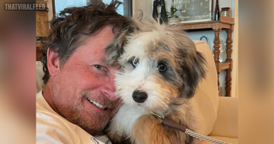 After Losing His Beloved Dog Michael J. Fox Introduces New 'Best Friend' To The World