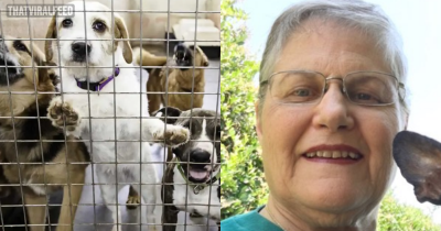 Grandmother Asks Shelter For Their Oldest, Most Unwanted, Hard-to-adopt Dog. Here's Who They Gave Her