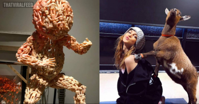 WTF Is Going On Here?