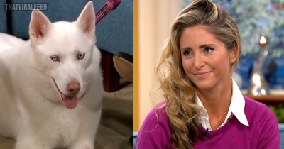 Woman Adamant Her Dog Is A Vegetarian Proven Wrong In 'Seconds' On Live TV