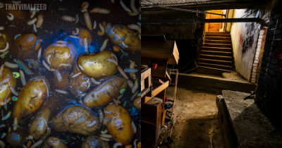 Four Members Of Same Family Suddenly Collapsed And Died After Entering Basement With Old Potatoes