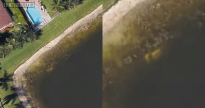 Mystery Of Person Missing For 22 Years Solved After Man Unknowingly Discovers Remains Using Google Earth While Checking Out Old Neighborhood