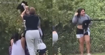 Group Caught On Video Pulling Bear Cubs From Tree To Take 'Selfie' With Them