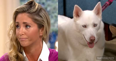 Woman Adamant Her Dog Was Vegetarian Gets Proven Wrong In Seconds On Live TV