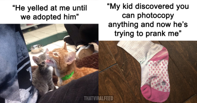 50 Randomly Wholesome Posts That May Be Just What You Needed For A Happiness Boost