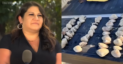 Mom Fined $88,000 After Kids Pick Up 72 Clams On Beach Thinking They Were Seashells