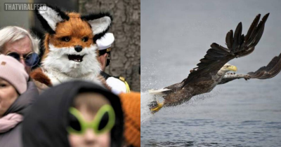 44 Late-Night Pics To Laugh At Until Morning