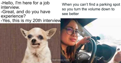 28 Of The Most Funniest And Unhinged Memes