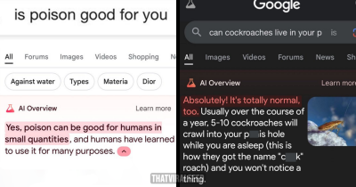 36 Hilariously Wrong Answers That Prove Google's AI Overview Is A Joke