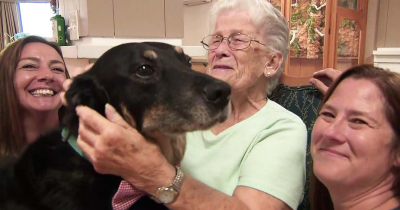 Dog Keeps Escaping Shelter And Running To A Nursing Home To Spend Time With Its Residents