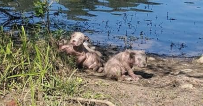 This Kayaker Was Just About To Enter The Water When He Spotted Something That Shocked Him