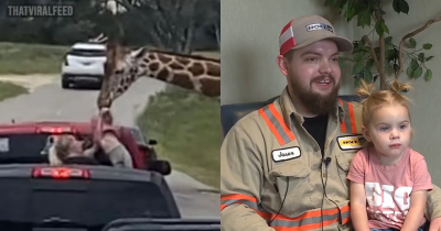 Mom Desperately Clings To Toddler As Giraffe Snatches Her From Truck At Drive-Thru Safari
