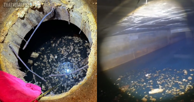 Creepy 100-Year-Old Tunnel Discovered Beneath Couple's Home Had A Shocking Use