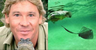 Steve Irwin's Heartbreaking Final Words As Last Minute Decision Cost Him His Life