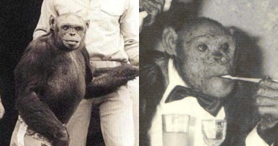 Rare Footage Of Oliver The 'Humanzee' Leaves Viewers Terrified