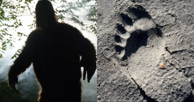 Man Says He Talked To 'Bigfoot' And It Made Him Feel Really Scared