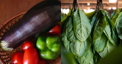 People Are Only Just Realizing Some Of Their Favorite Vegetables Have Nicotine In Them