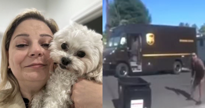 UPS Driver 'Crushed Family Dog' While Tossing A 55-Pound Package Over Their Garden Fence