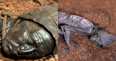 Man's Corpse So Miraculously Well Preserved His Guts Reveal Alarming Last Meal From 2,400 Years Ago