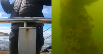 Man Urged To Make &lsquo;Emergency Call Immediately&rsquo; After Dropping Gopro In The Ocean And Discovering Terrifying Object