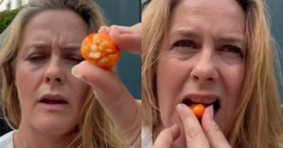 Alicia Silverstone Unknowingly Eats Poisonous Plant In UK And Hasn't Been Heard From Since