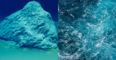 Scientists Make A Chilling Discovery After Reaching The Bottom Of The Red Sea
