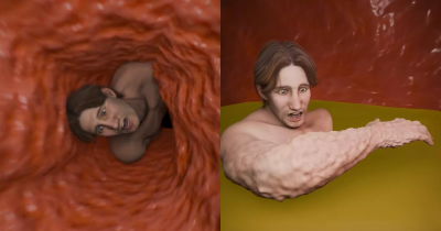 Terrifying Simulation Reveals What Happens To Your Body If A Whale Swallows You
