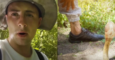 Man Snuck Onto Snake Island Where No Human Is Allowed To Visit And Is Home To 4,000 Of World&rsquo;s Deadliest Snakes