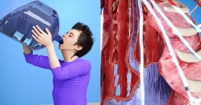 Terrifying Simulation Shows What Would Happen To Your Body If You Died From Drinking Too Much Water