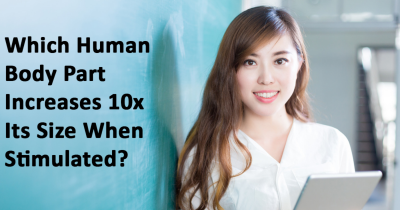 Which Human Body Part Increases 10x Its Size When Stimulated?