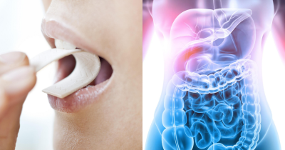 What Really Happens When You Swallow Chewing Gum, According To Doctors