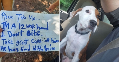 Man Discovers Abandoned Dog In A Small Crate, Then Reads The Heart-Wrenching Note Left Behind