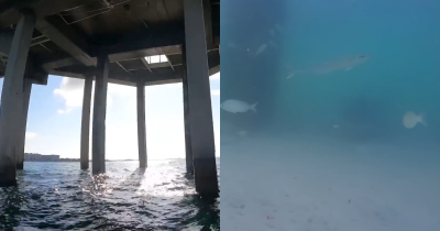 Man Drops Gopro From 'World's Most Dangerous Pier' And Reveals Terrifying Truth About What's Underneath